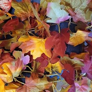 HURRY BEFORE DECEMBER